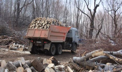 Продаємо дрова дубові колоті та кругляк, пиньки, чурки метрівки