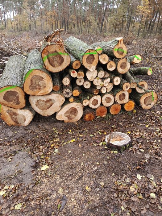 Drewno kominkowe opałowe transport dąb sosna gałęziówka