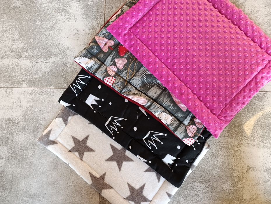 Królik króliczek mini lop hodowla zarejestrowana Top