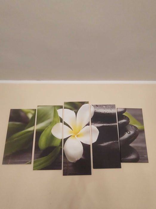 Obraz na ścianę 5 elementów