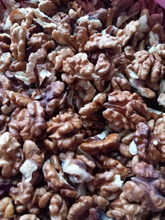 Продам грецькі горіхи