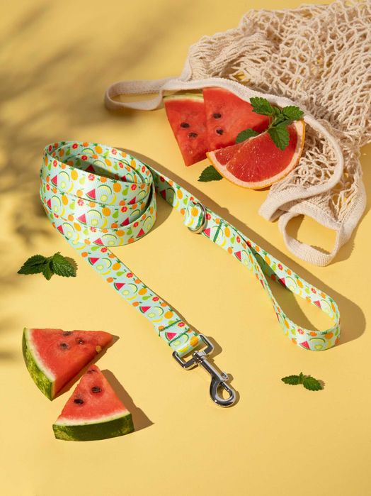 Smycz miejska dla psa z rączką kolorowe owoce 300cm 3m taśma 2cm