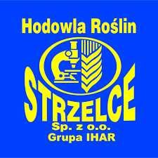 Pszenica ozima Euforia C1 /HR Strzelce/ wysyłka +200,00