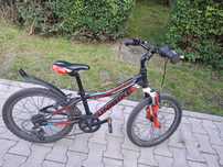 Rower unibike pilot 20'