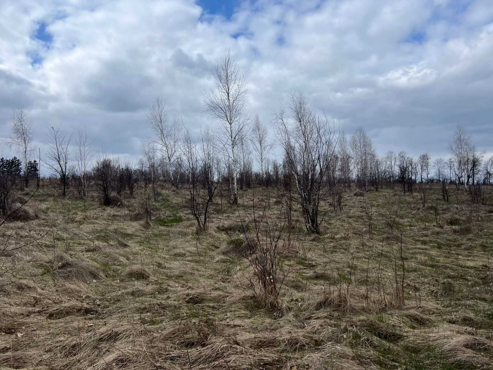 (5) Продам земельну ділянку 12 с в смт. Вороновиця 8116