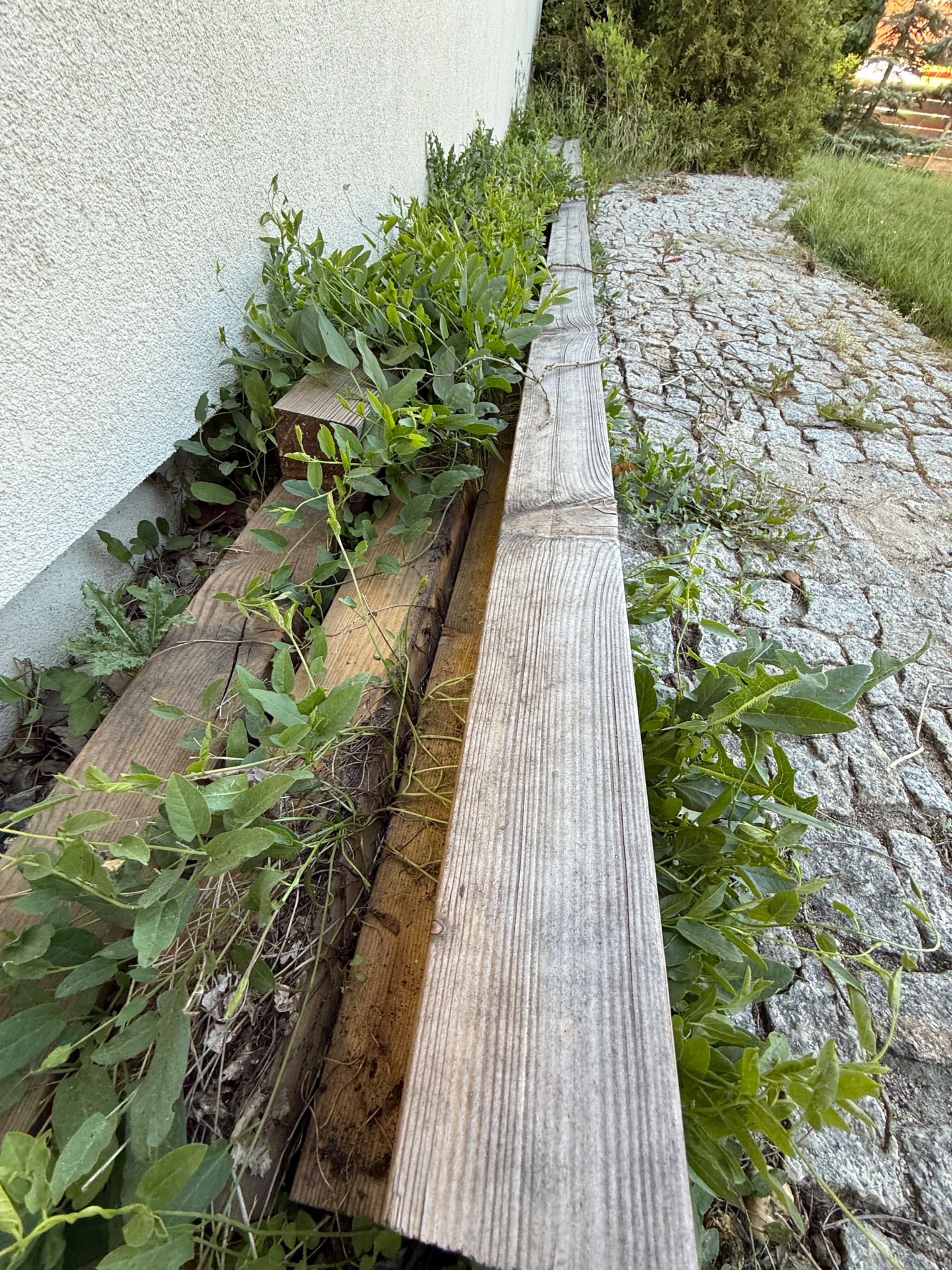 Legar Modrzew syberyjski  85x85 4,00m - 50 zł ( 5 sztuk)