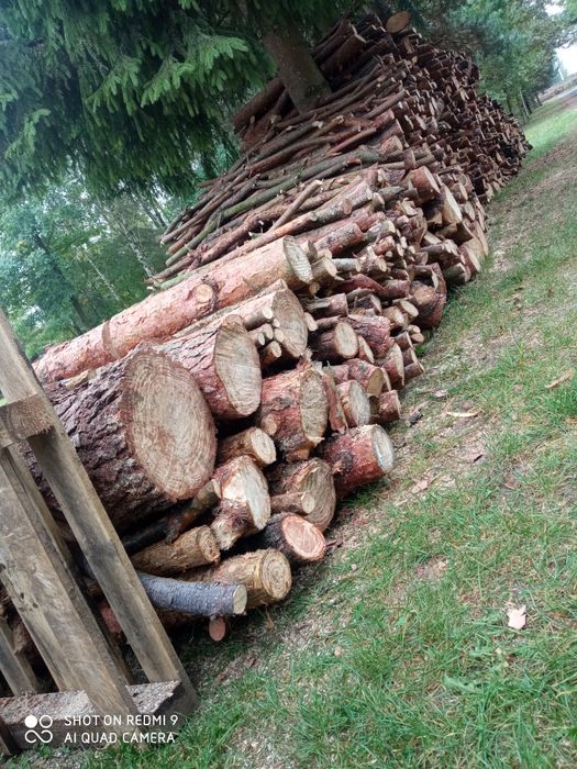 Drewno opałowe sosna