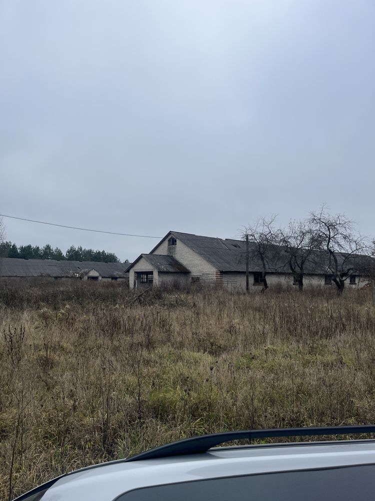 Продам приміщення ферми