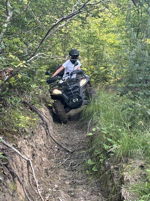 Quad ATV Goes 500L EPS