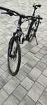 Rower KTM Avenza Cross street