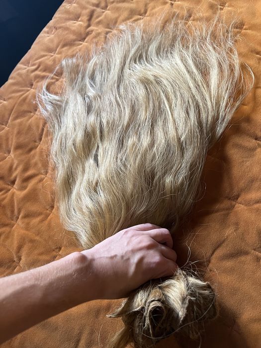 Cabelo louro mel 100% natural 282g 50cm