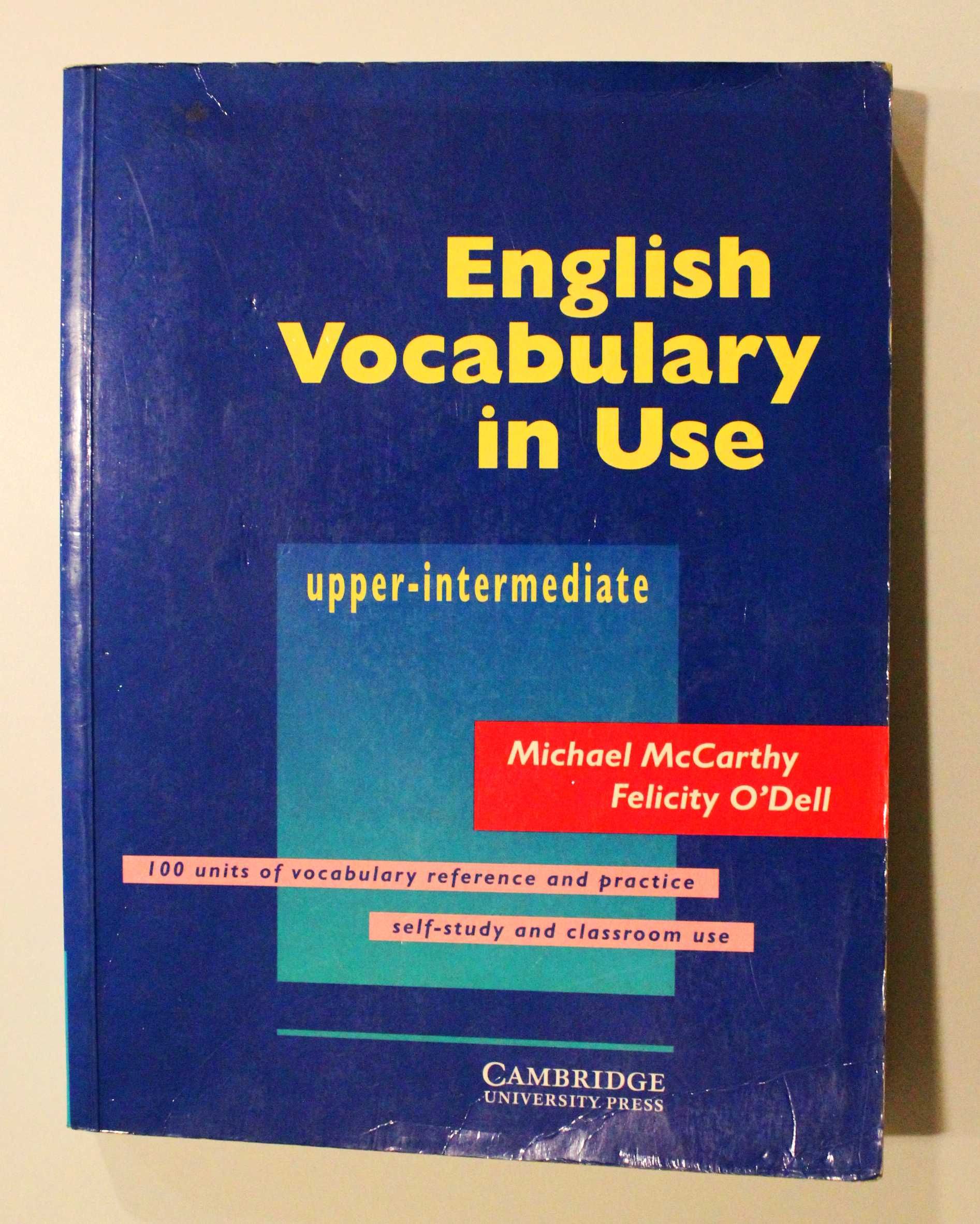 Vocabulary in use