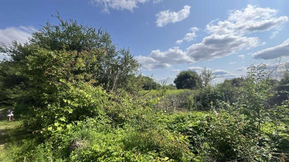 Земля, садівництво,Жирівка, Пустомитівський, Львівська область