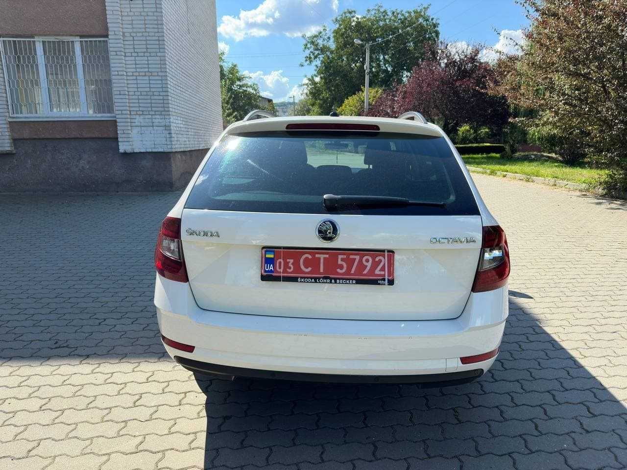 Skoda Oktavia 2019