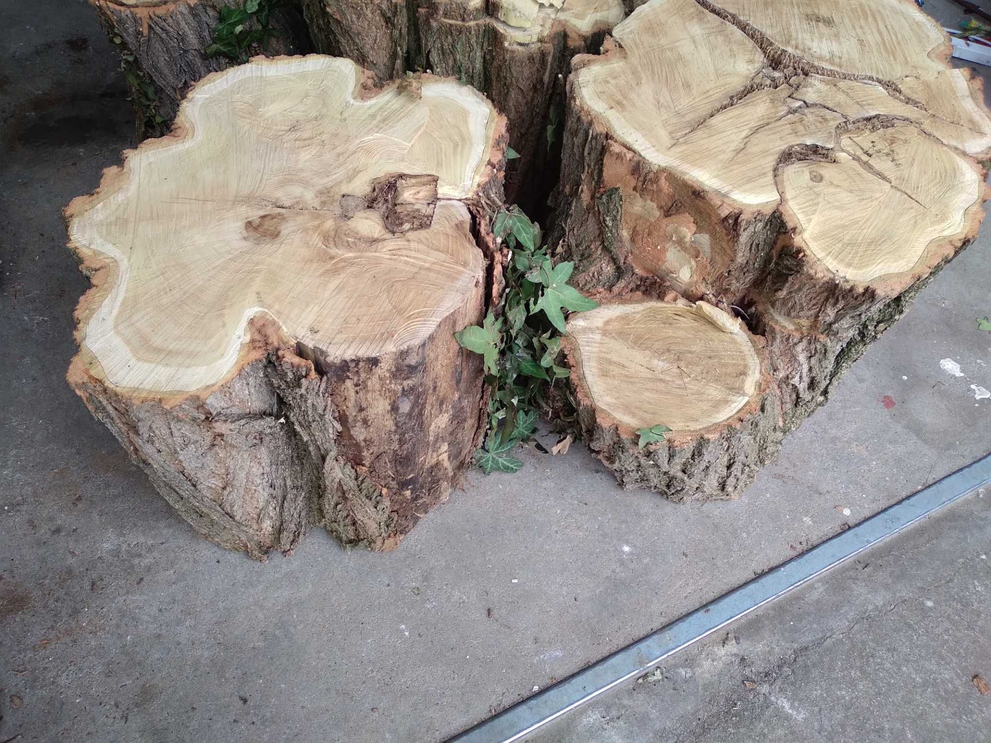 Drewno akacjowe na opał oraz pieńki