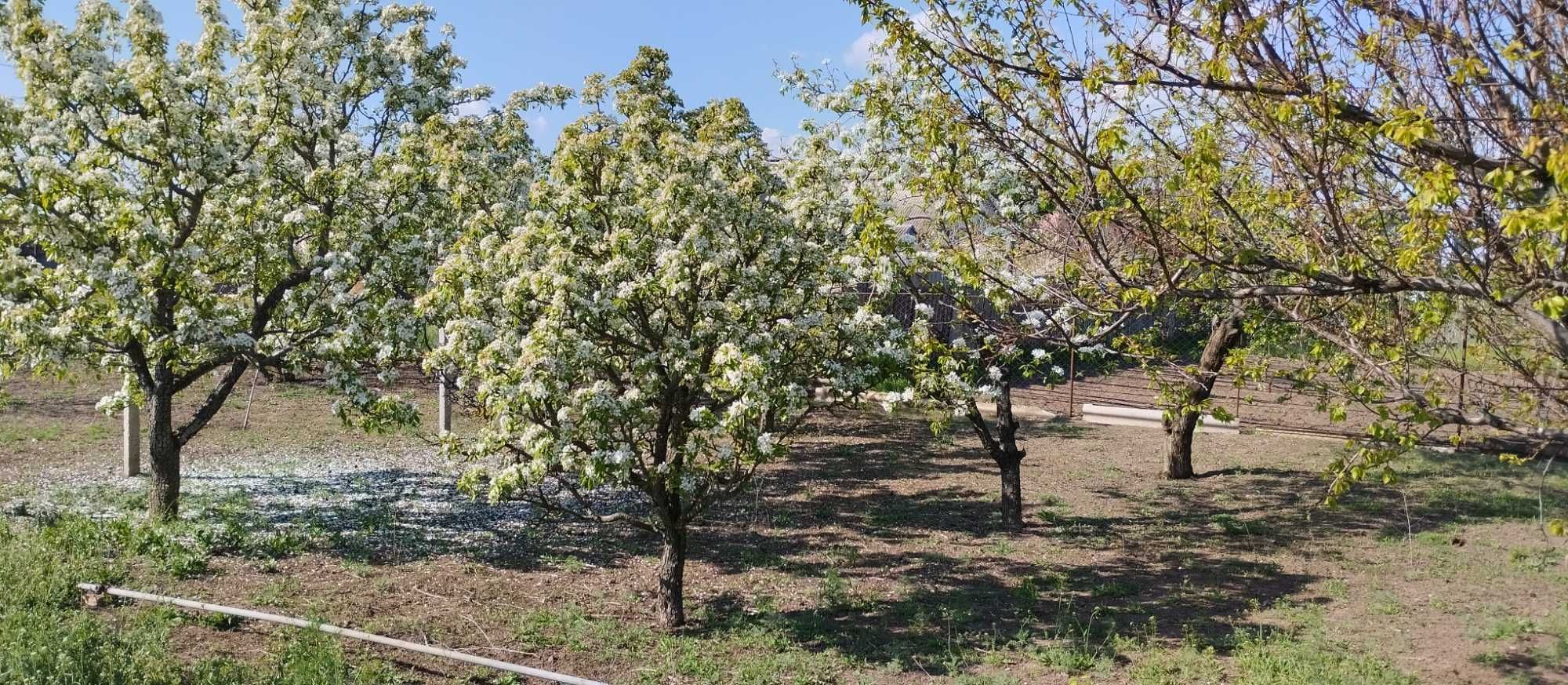 Продам участок ул. Тернопольская 143