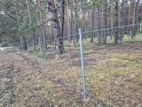 Ogrodzenie leśne 200m