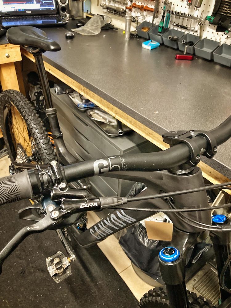 Canyon strive 2024