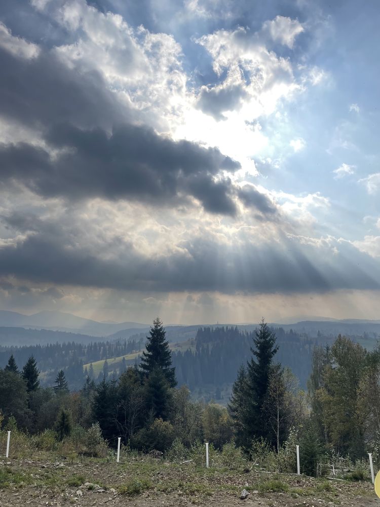 Земля Вишків, Сенечів