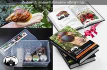 Zestaw do hodowli Ślimaki olbrzymie Achatina Lissachatina Atlas Gratis