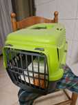 Transportadora de animais