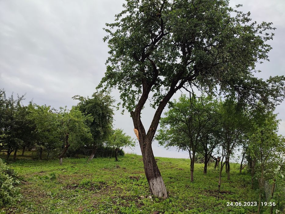 Продаж будинку  25 сотих с. Дубенка