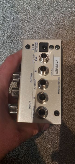 Boss DD200 digital delay.