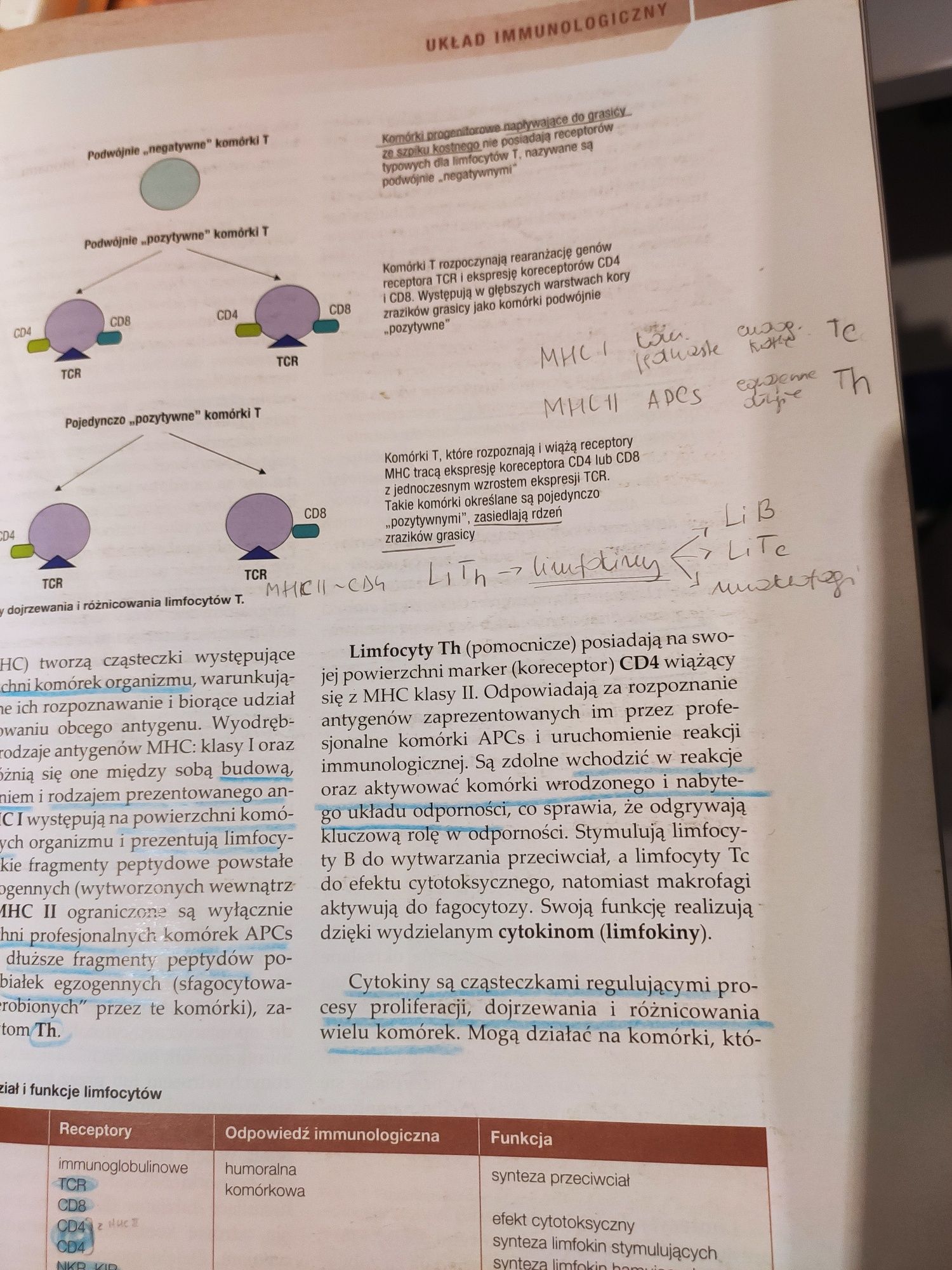 Histologia Ząbek+ zeszyt ćwiczeń gratis !!