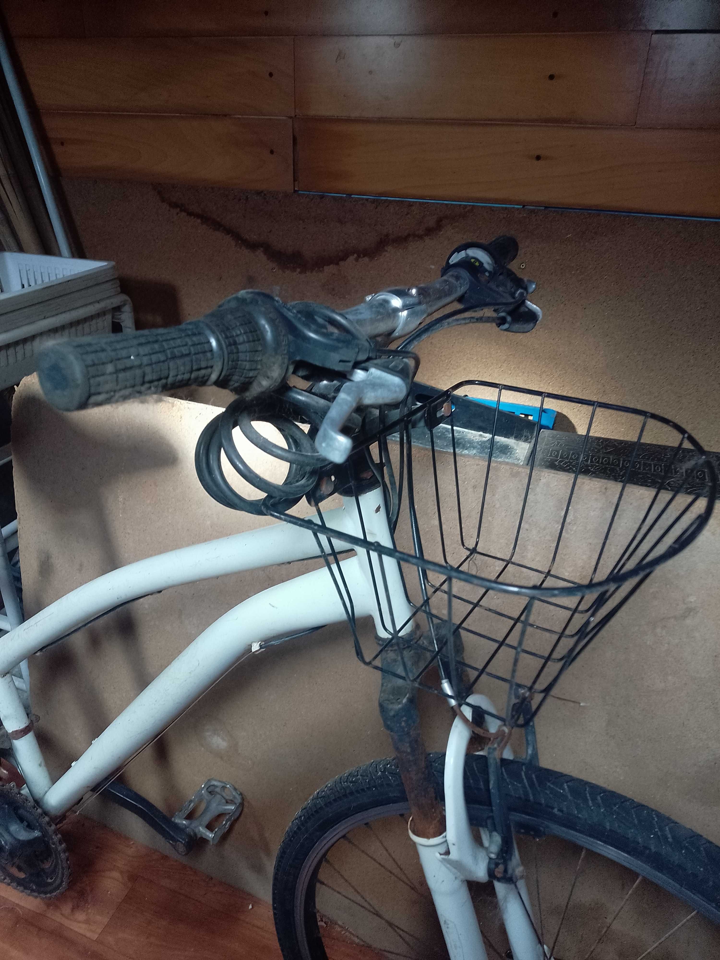 Bicicleta com quadro em ferro