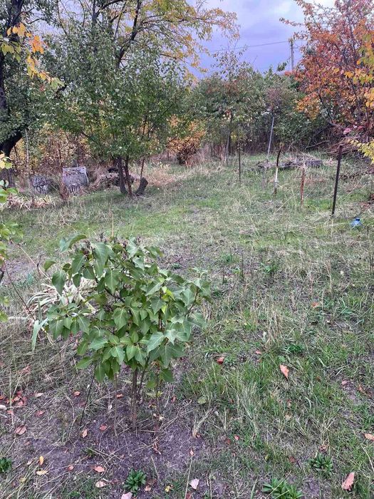 Продам Дачу в Таромськом