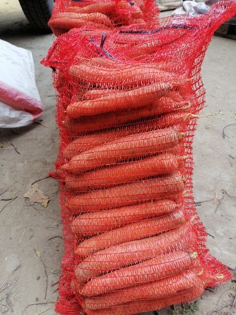 Marchew brudna układana  worek 10 kilo