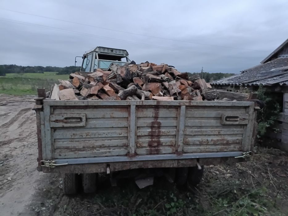 Drzewo olcha opał