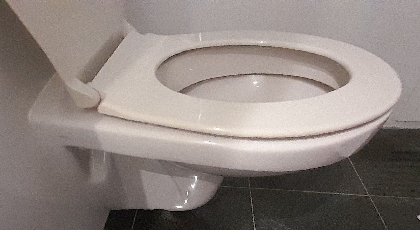 Retrete com assento e bide com torneira Dibagio