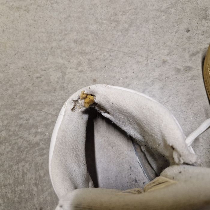 Tênis bascket n 44 só 5 eur