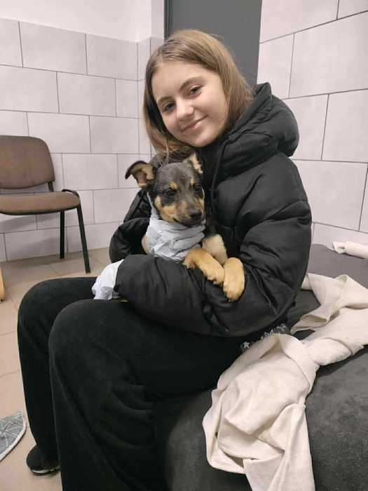 Nela ma 4 miesiące i szuka domu .