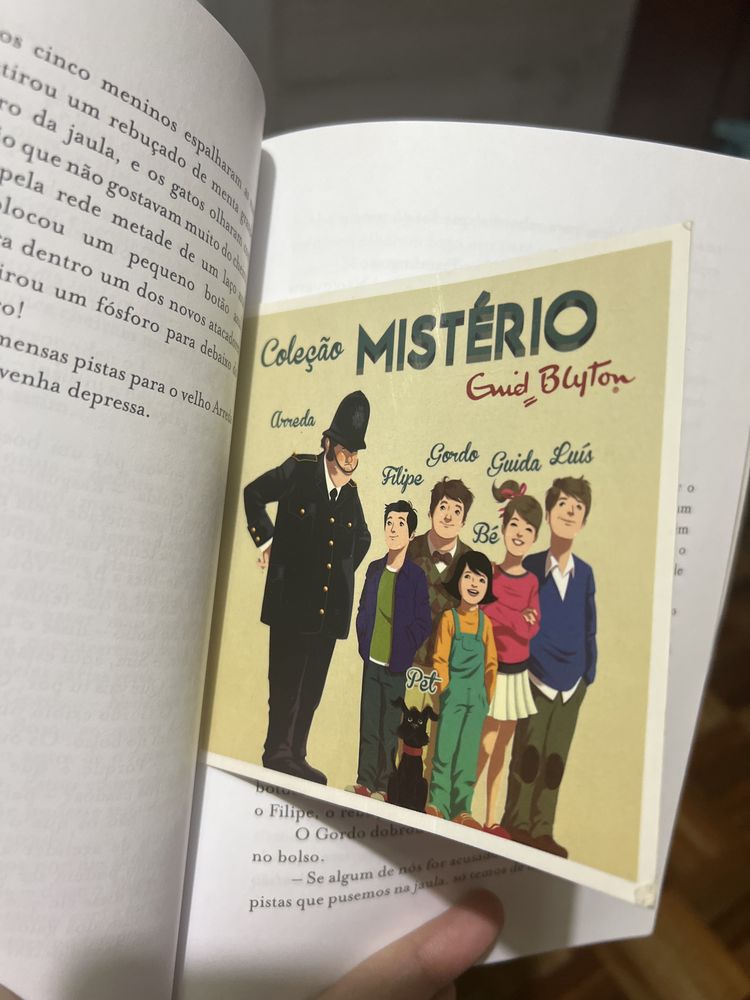 Livro O Mistério da Gata Desaparecida