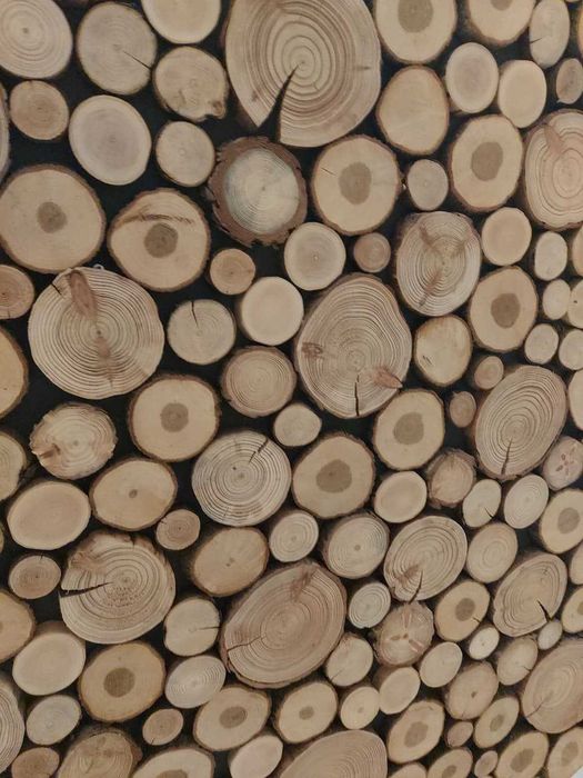 Panel ścienny drewniany z podświetleniem