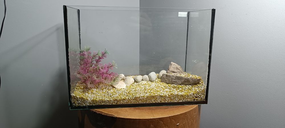 Akwarium 20 litrów