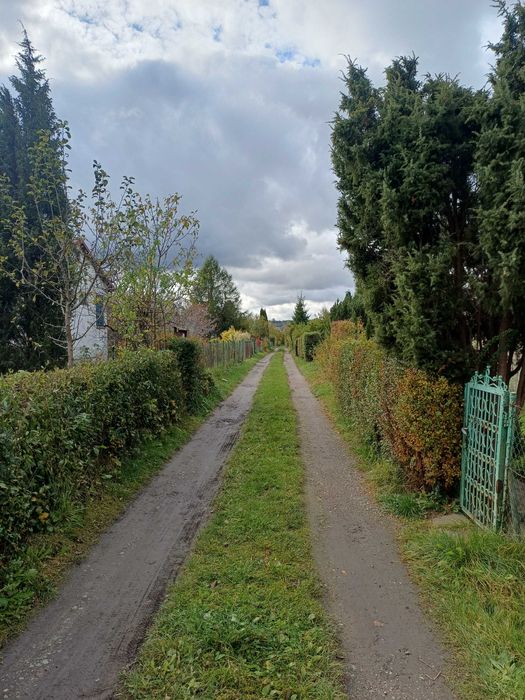 Działka ROD Gdańsk Nowatorów