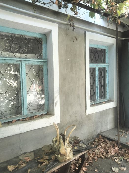 Продам будинок  + літня кухня  Ліски  або міняю на квартиру