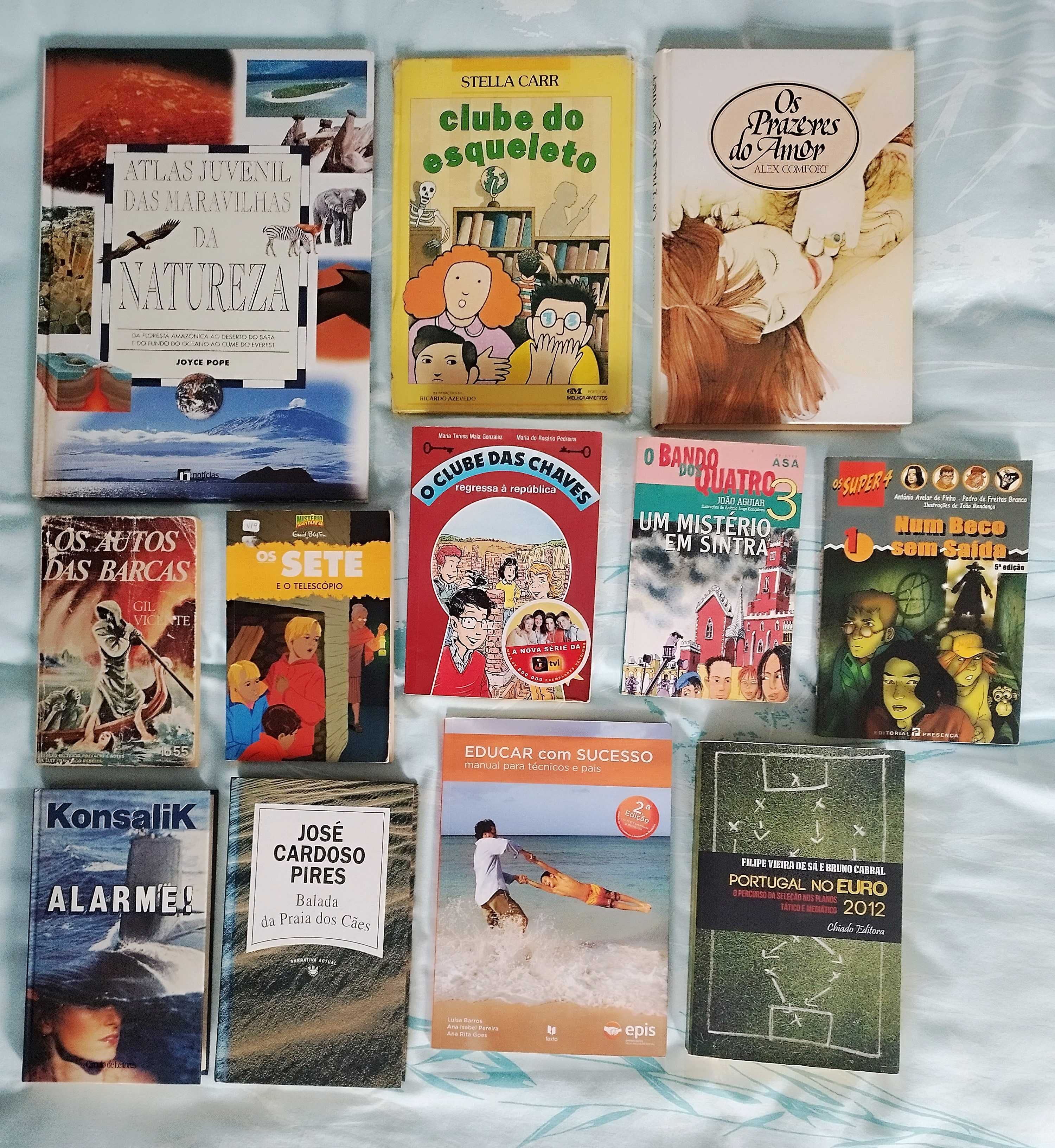 Grande Lote de Livros para Todas as Idades