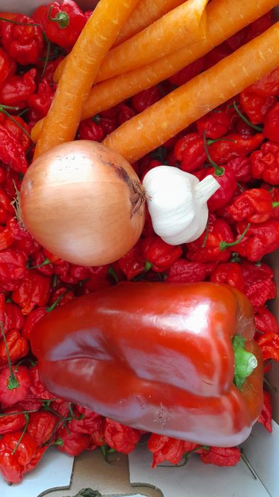 QUEIME A LINGUA - Molho picante