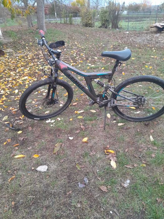 Черкаська обласна поташ