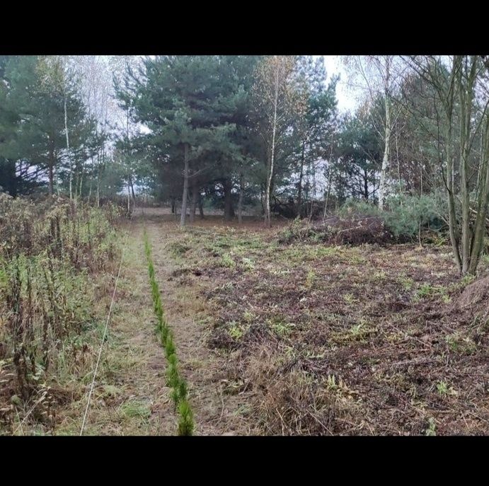 Działka 1000m Wymysły