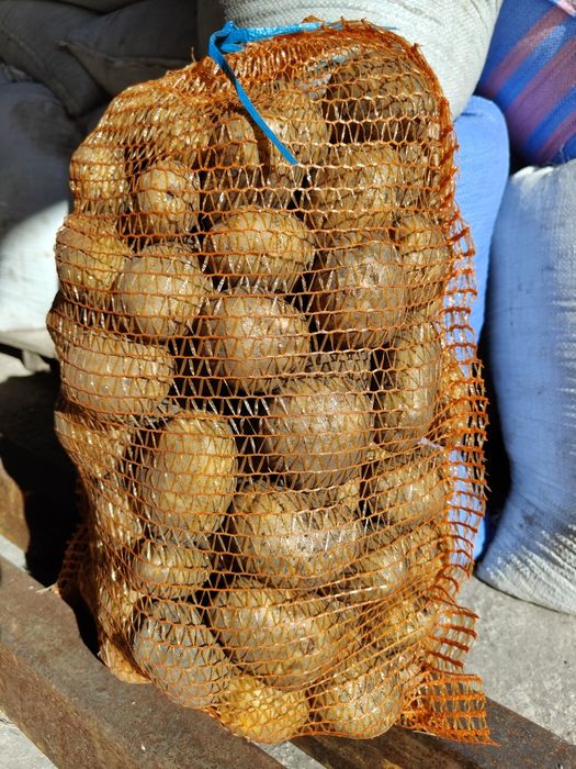 Ziemniaki ekologiczne