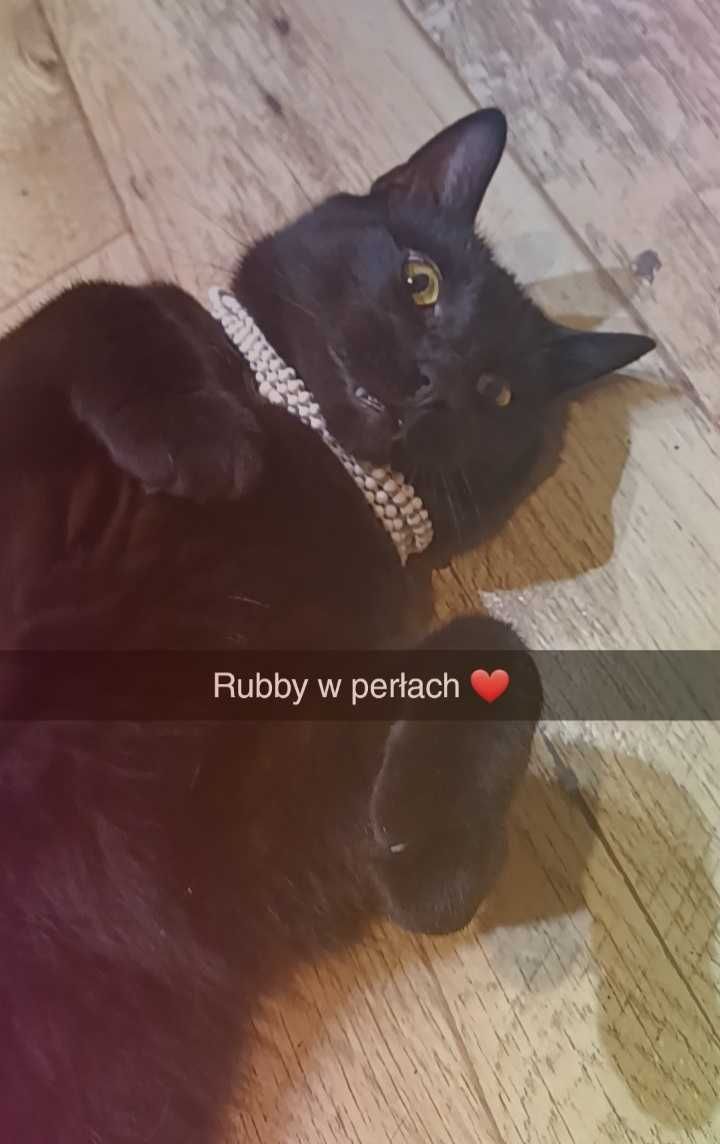 Dobry domek dla Rubci