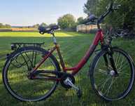 Rower damka Pegazus