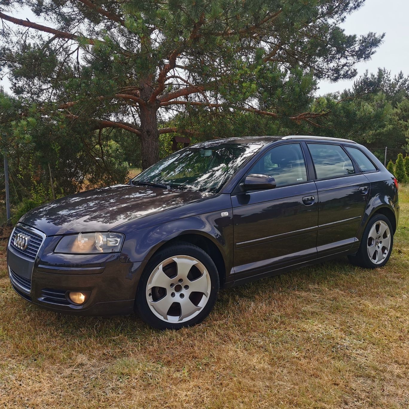 Audi A3 8P 2006r 1.9TDI 105KM  5 drzwi
