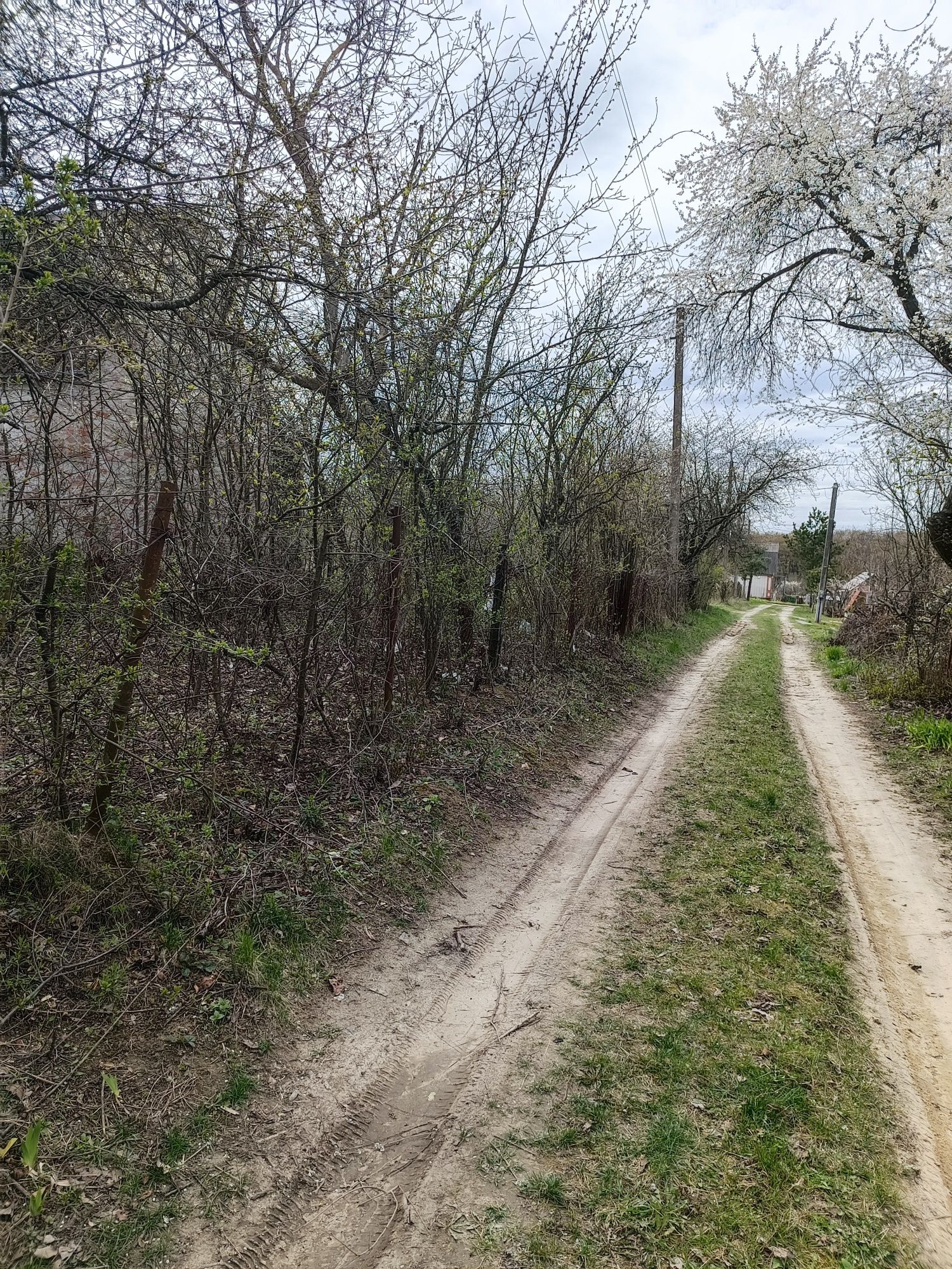 Продам дачну ділянку