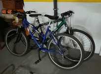 2 bicicletas de adulto